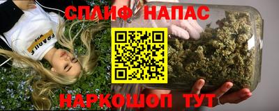 молекула духа Камышлов