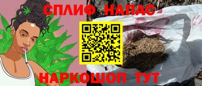 прущие грибы Кандалакша