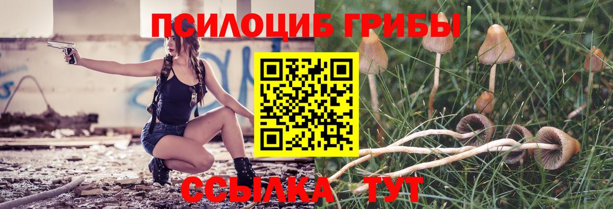 Псилоцибиновые грибы Psilocybine cubensis Майский