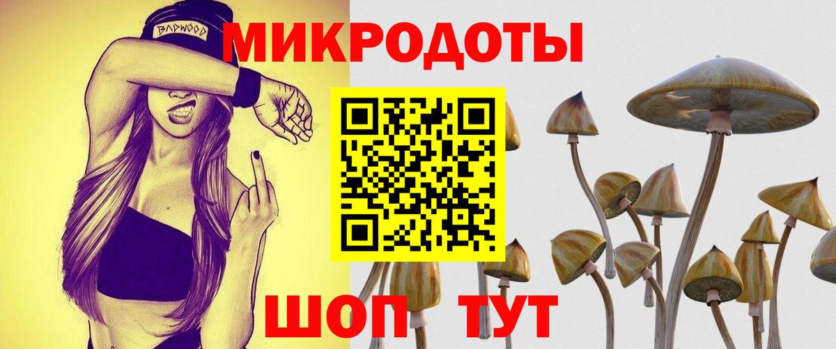 Псилоцибиновые грибы Psilocybe  Псилоцибиновые грибы Psilocybine cubensis  Майский  Вход с VPN 